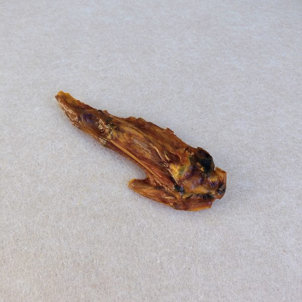 Aile de dinde naturelle pour chien