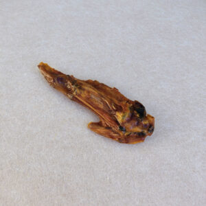 Aile de dinde naturelle pour chien
