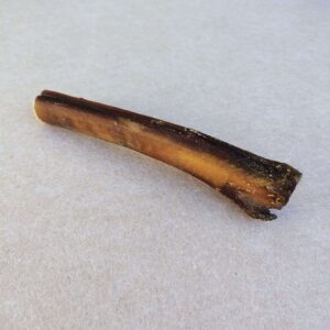 Nerf de bœuf naturel 12cm pour chien, friandise de mastication
