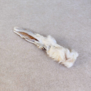 Oreilles de lapin avec poils, friandise naturelle pour chien