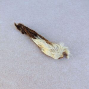 Oreille d'agneau avec poils, friandise naturelle pour chien